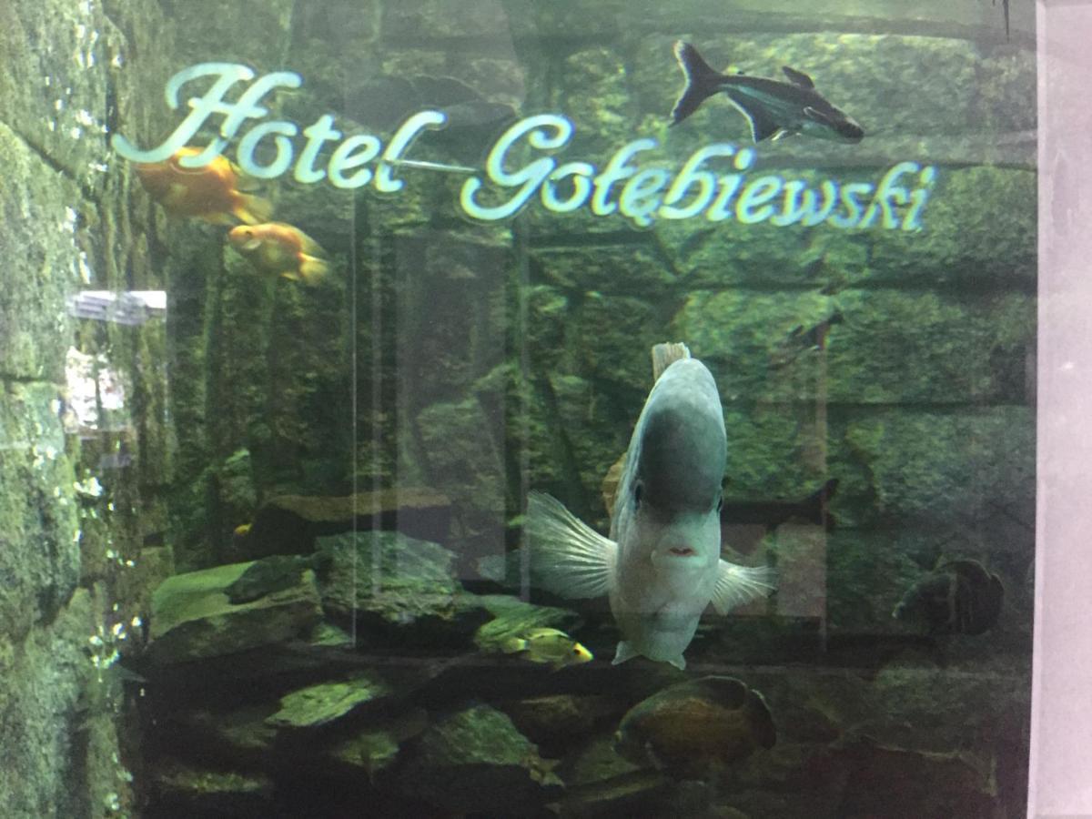 Hotel Golebiewski Białystok Exteriér fotografie